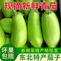 綠茄子新鮮正宗青茄子甜茄子無籽茄子可生吃蔬菜 5斤裝 新鮮綠茄