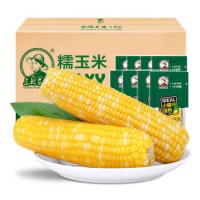 黃糯玉米 200g*8支 ≥1.6kg 真空包裝 黃白糯玉米 火鍋燒烤速食食材 產地吉林