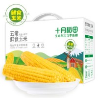 五常鮮食玉米 2.2kg（220g*10）（ 甜糯玉米棒 輕食 真空裝 中秋雜糧禮盒 當季玉米）